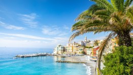 The Ultimate Guide to Choosing the Perfect Tropical Vacation Destination